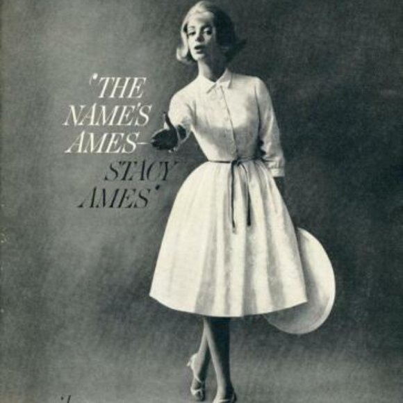 Vintage Stacy Ames 1960s shift dress, brown linen with red brick accent panel - Picture 6 of 6